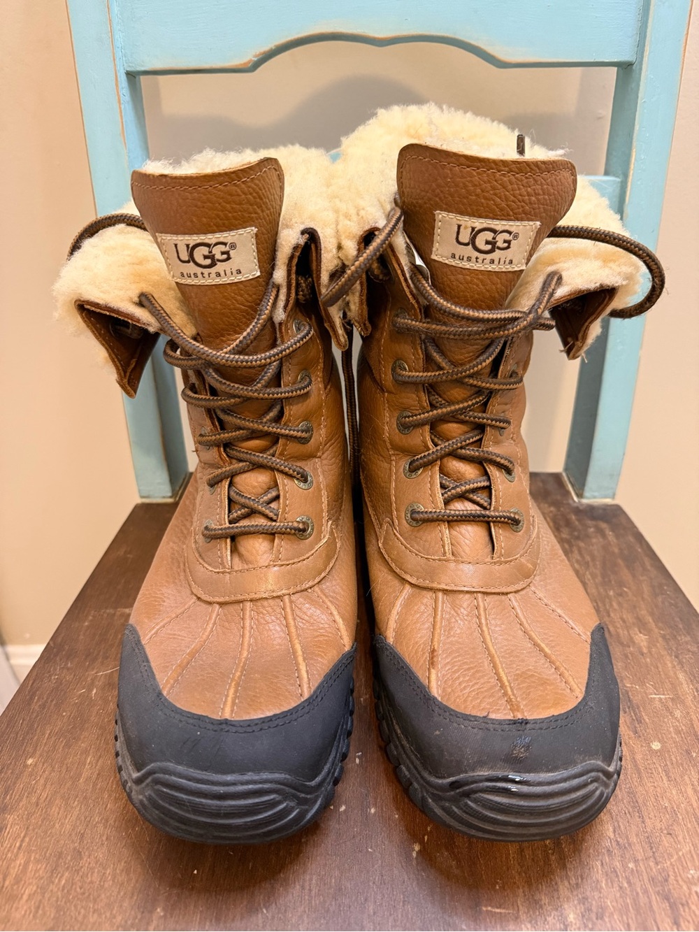 UGG Chestnut Shearling-Lined Boot Interior